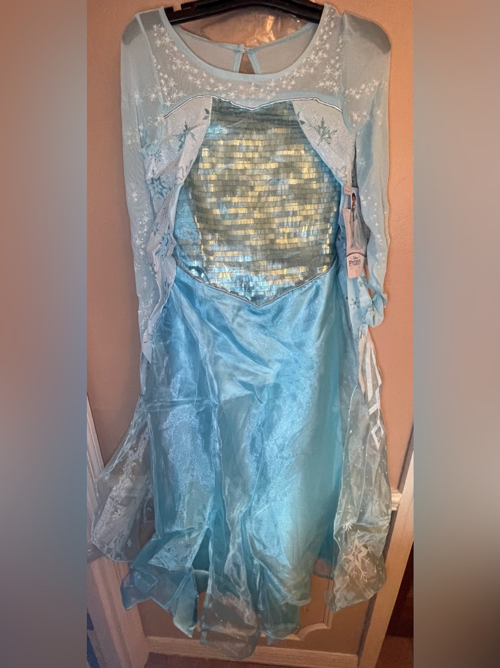 Ana Frozen Dress Size Small  4-6x NWT